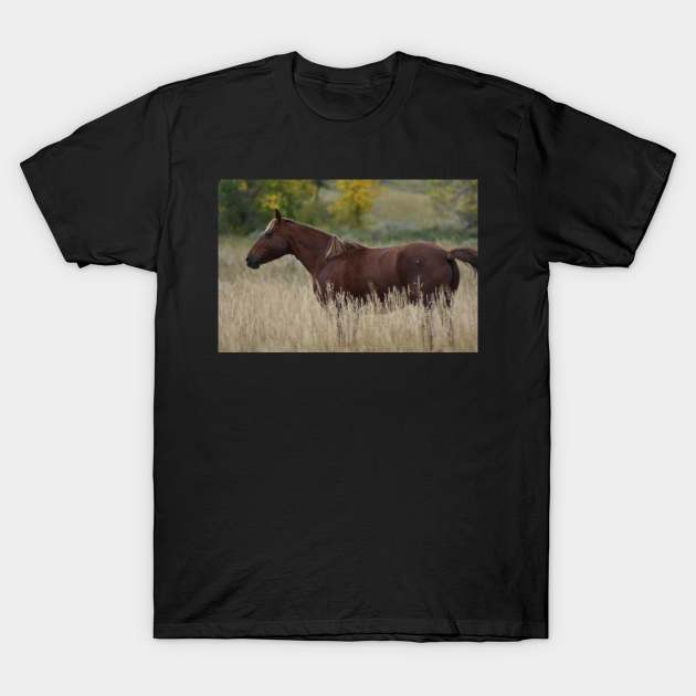 Brown Wild Horse T-Shirt by MarieDarcy